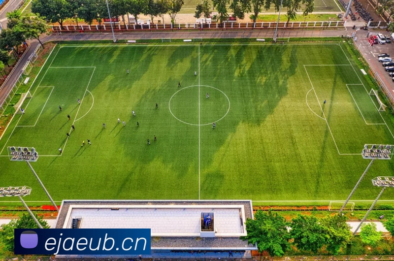 棋牌世界的版图拓展_开元棋牌深度洞察与玩家算法 详细分析 深度解析