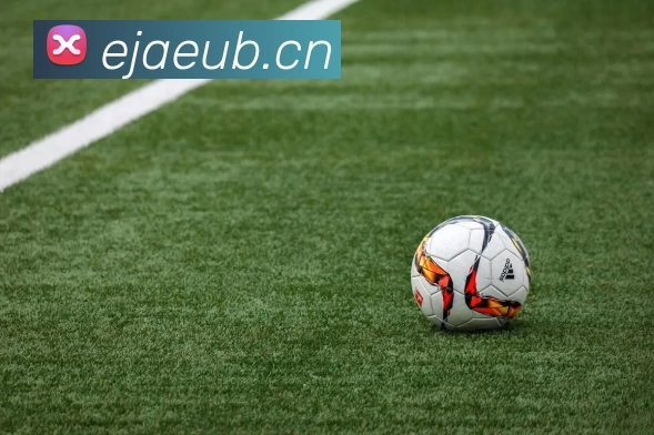 开云体育APP 高清赛事图